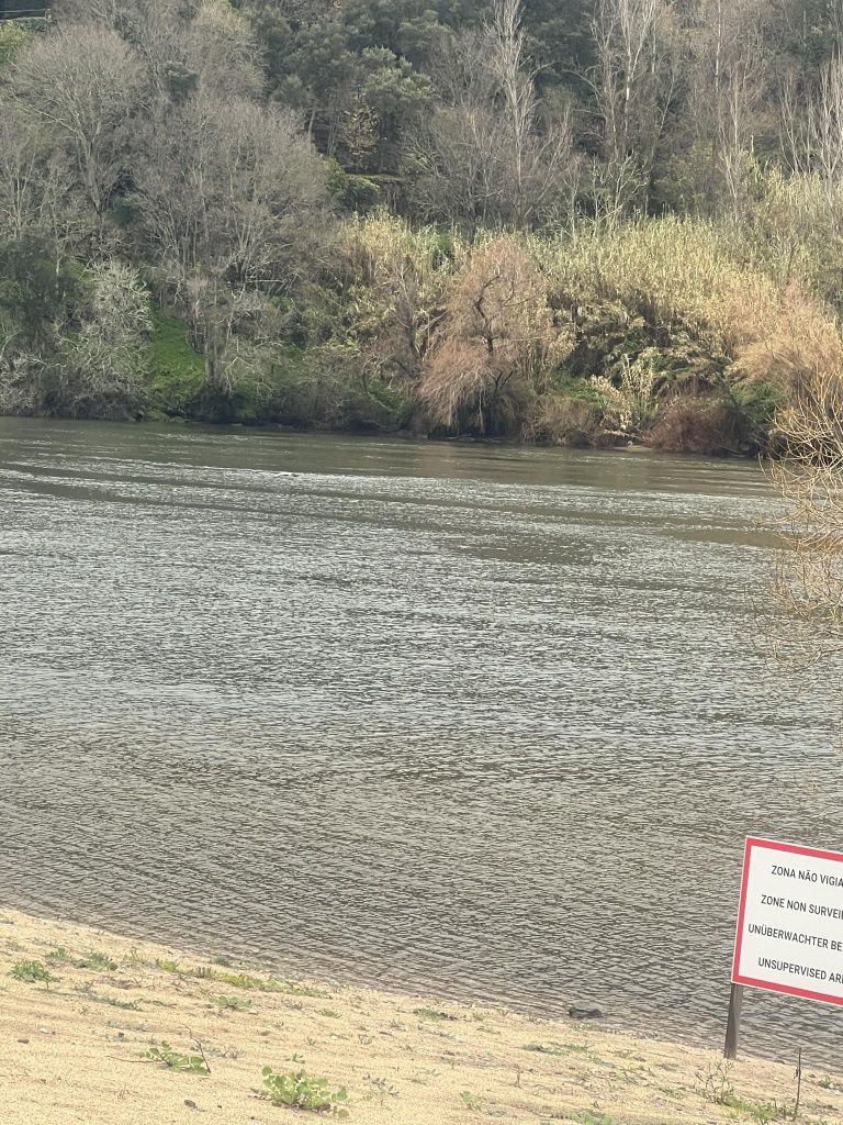 Terreno espetacular junto a praia fluvial em Cinfães