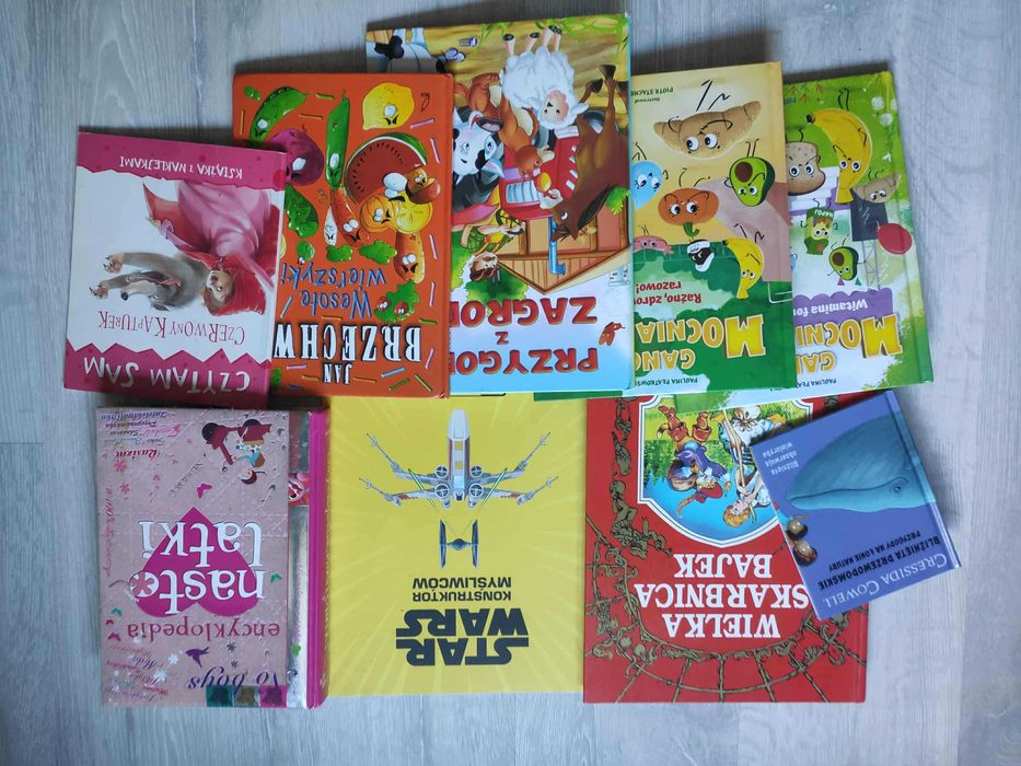 Zestaw różnych książek dla dzieci - wyprzedaż