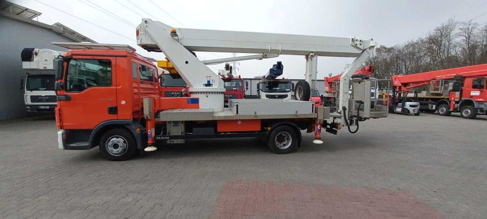 Zwyżka/Podnośnik koszowy 30m/Usługi/Wynajem/Wycinka drzew