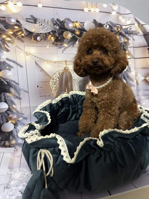 Legowisko dla psa hand made