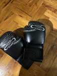 Luvas champ boxing