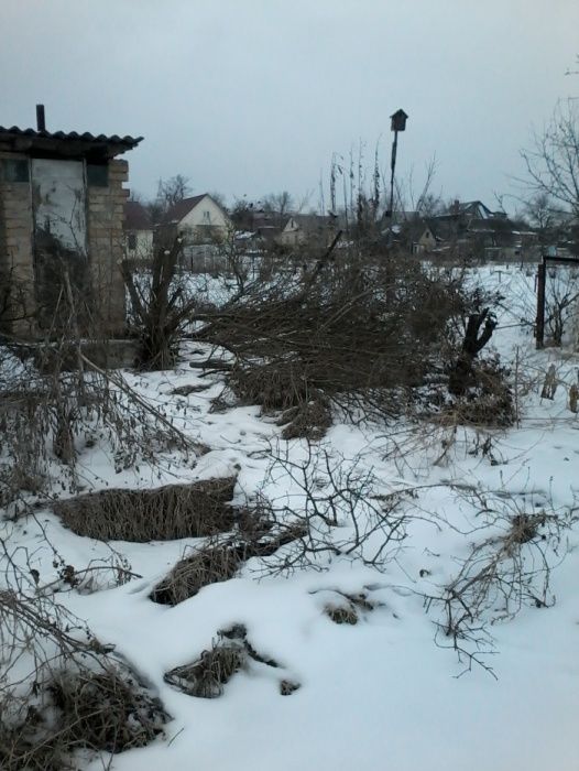 домик васильков очень срочно