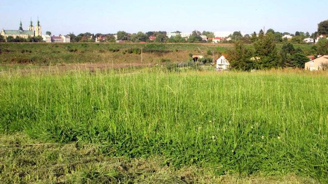 Jarosław - pięknie położona działka przy ul. Zielone Wzgórze