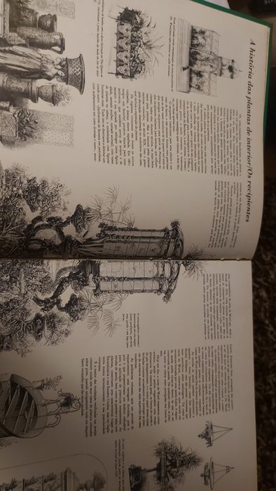 O Jardim em sua Casa de George Seddon