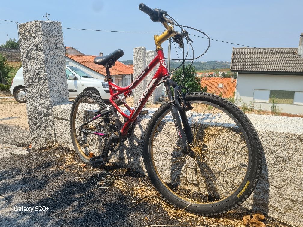 Bicicleta Berg Sem corrente e sem o S