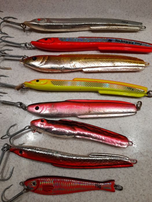 Pilkery morskie  8 szt po 15 zł za sztuke