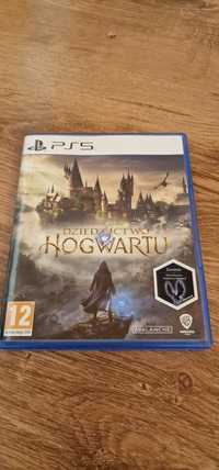 Hogwart Legacy PS5 PL