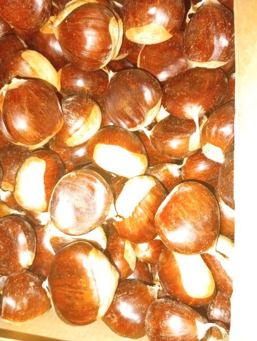 Castanhas 3€kg deste ano