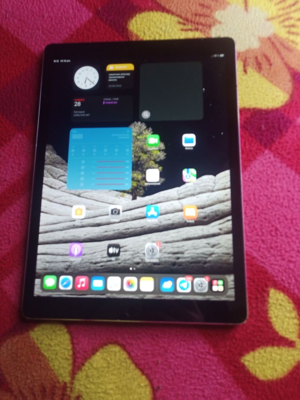 iPad 9,7" 5 покоління iPad Pro 12,9" 2 покоління