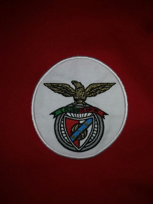 Casaco do Benfica