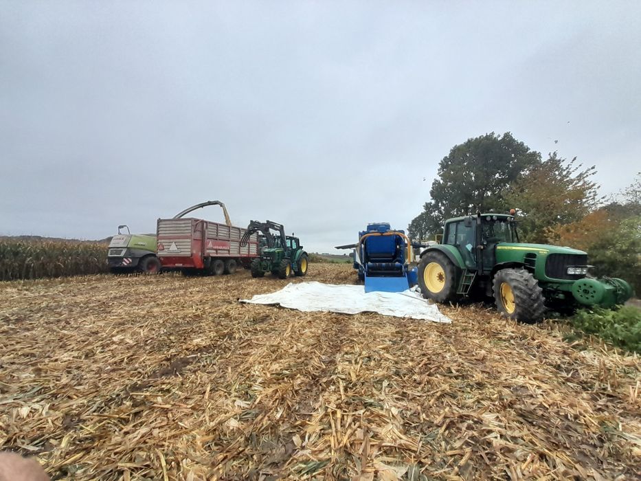 BELE Z kukurydzy BELE z wysłodki kiszonka kukurydzy kukurydza