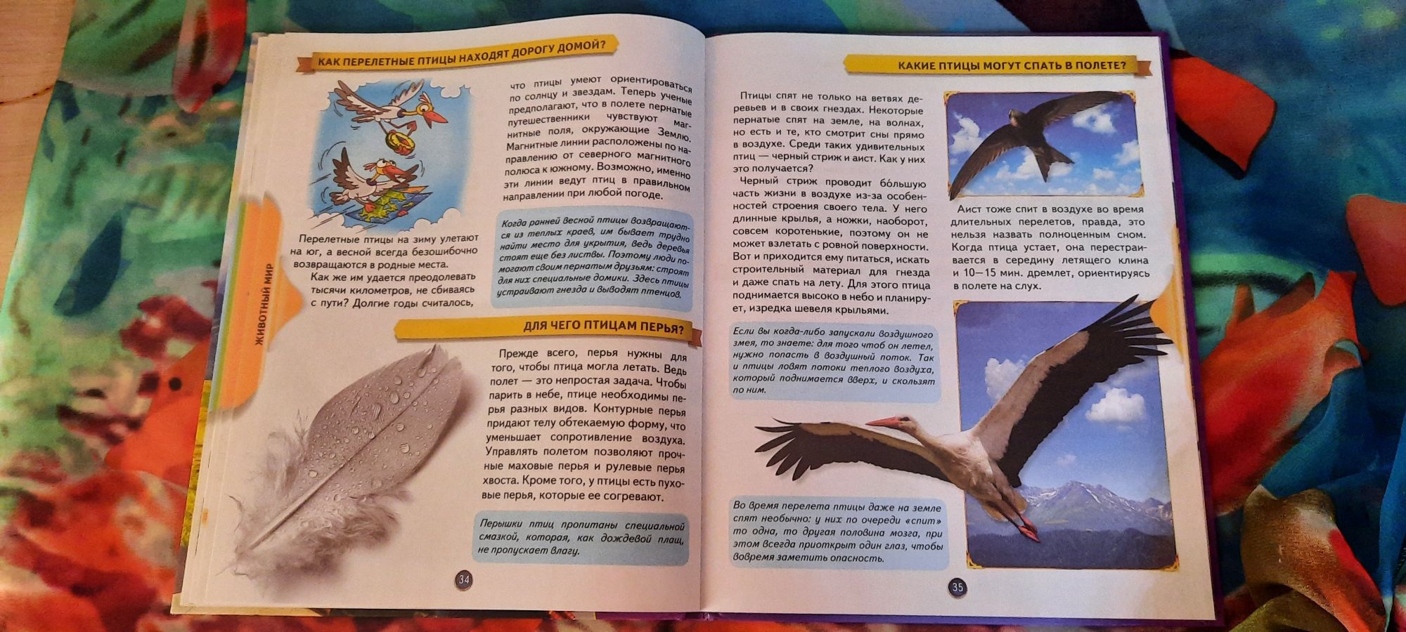 Продам  книгу ,,Маленькие умники"
