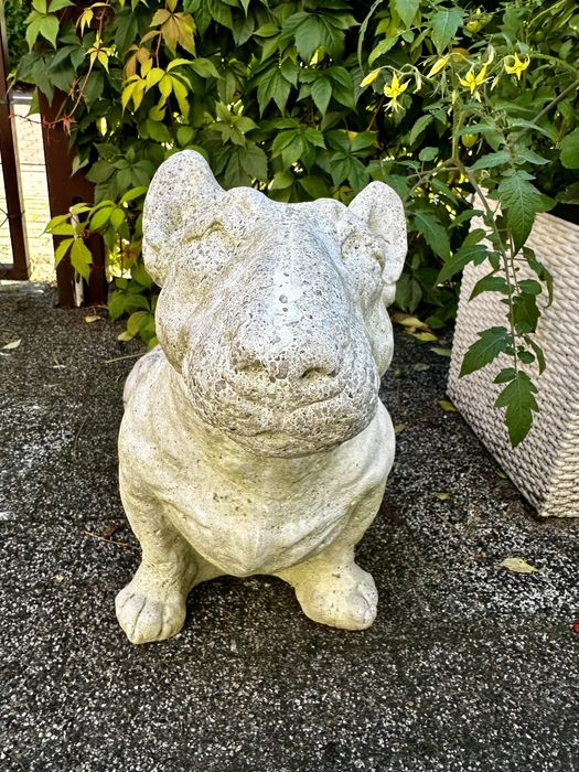 Rzeźba psa bullterier pies betonowa figurka do ogrodu sztuka