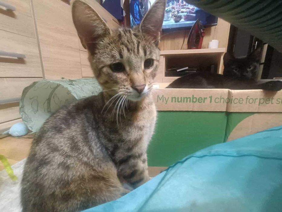 Eddie czeka na Ciebie