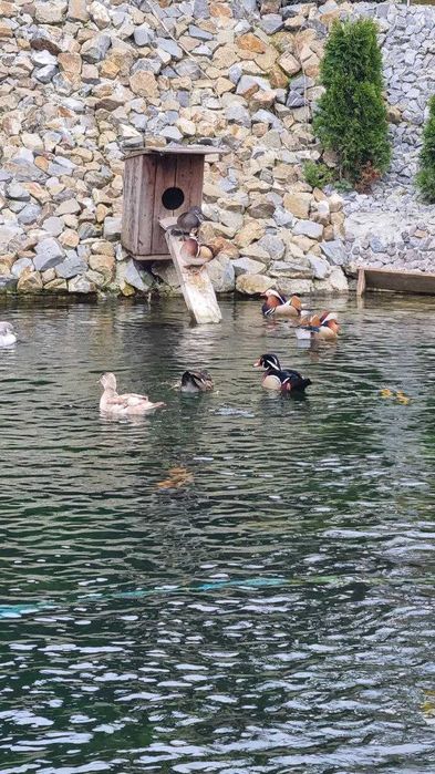 Будинок для двох та більше осіб, басейн з підігрівом! Чан, сауна.