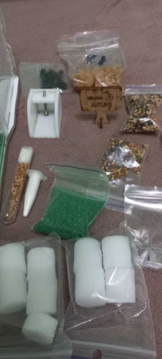 формікарій (мурашина ферма)