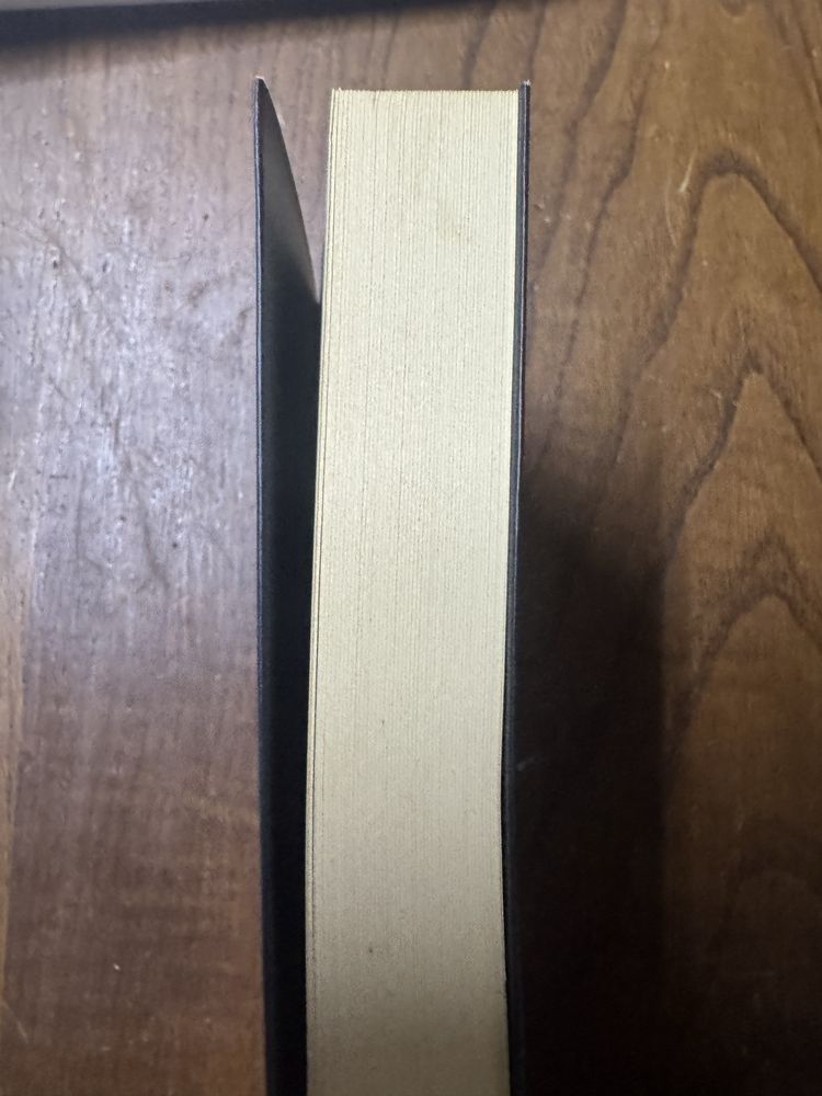 Livro 100 dias de solidao