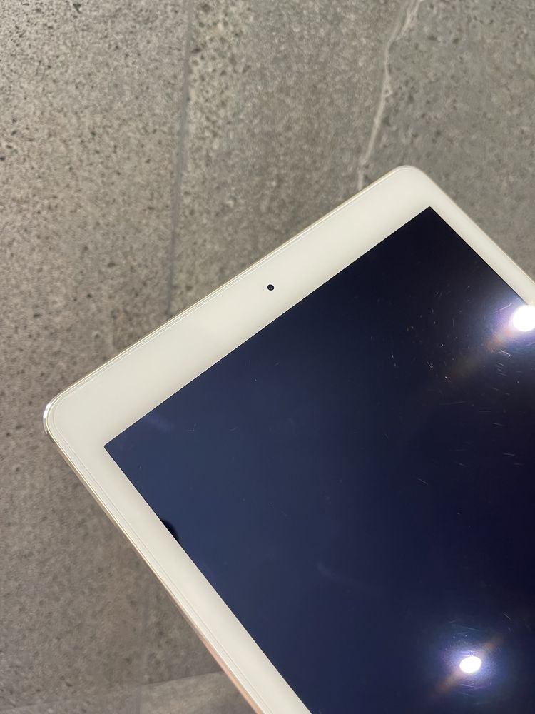 iPad Air 2 16gb Wi-Fi Gold (22)