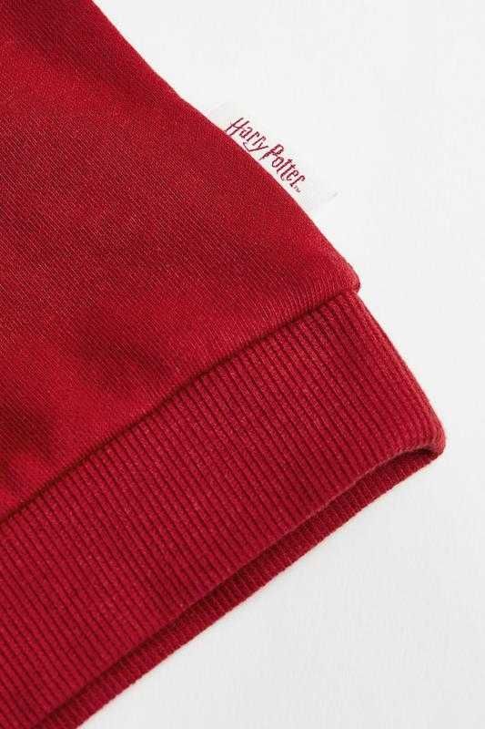 Комплект из толстовки джоггеров Harry Potter H&M