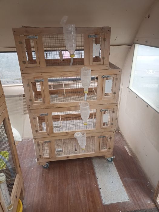 Klatki boksy na drobną egzotyka