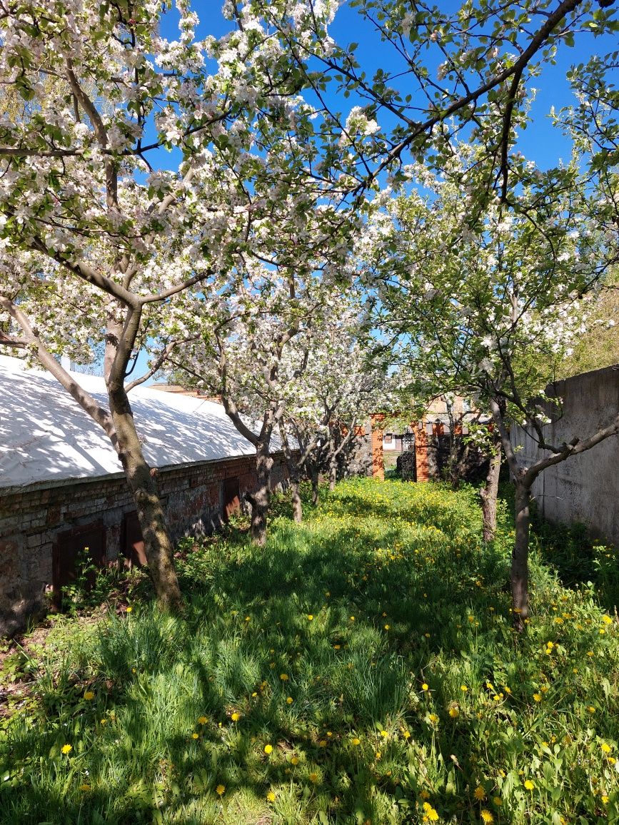 Продаж,оренда, кооперація; пекарня, майновий комплекс, земля