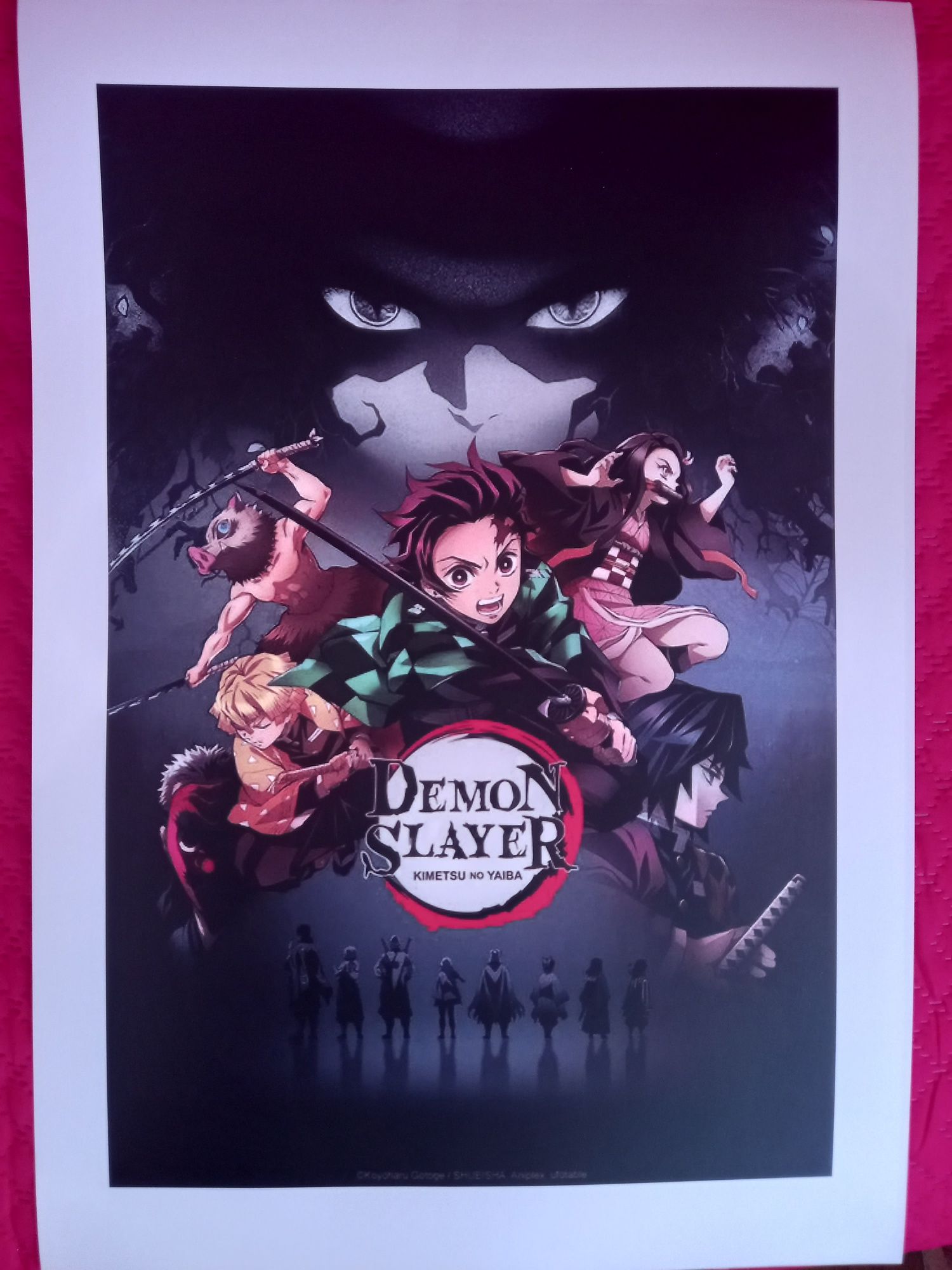 Anime posters variados