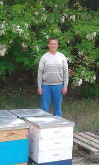 Продам бджолопакети пчелы на рутовську рамку(БДЖОЛИ)2024