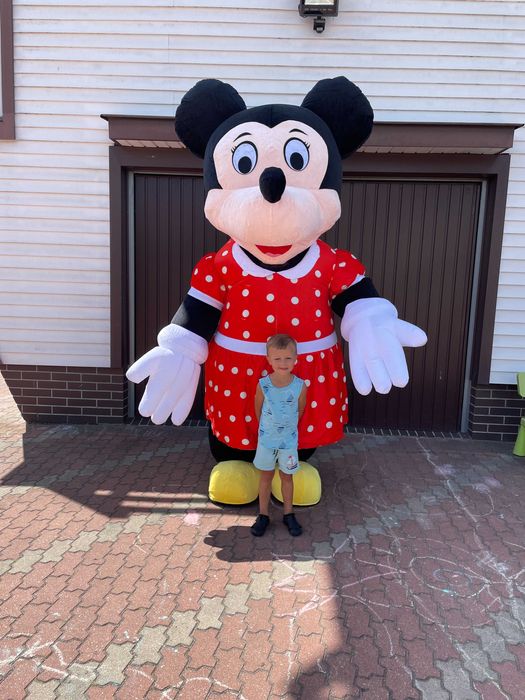 Nadmuchiwany kostium Mickey lub Misia  na  imprezy wysokość 260 cm.