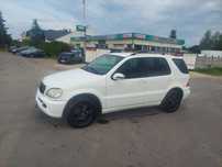 Mercedes ML w163 Zamiana na Dostawcze