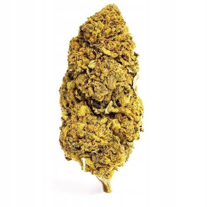 1KG Susz CBD Blueberry Haze 0,20% HURT Producent FV Susz konopny