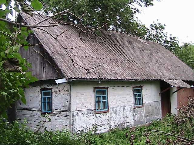 Житомирська область село Дідківці хата участок терміново