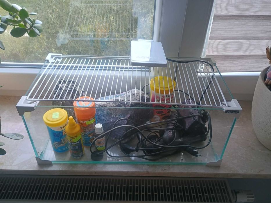Akwarium, Terrarium dla żółwia wodny i lądowy. Tylko odbiór osobisty