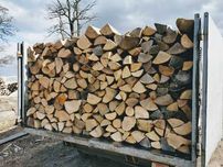 Дрова колоті твердих порід з доставкою