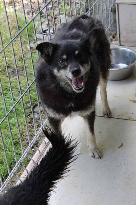 722407 Izaura czeka na cierpliwego, doświadczonego człowieka.