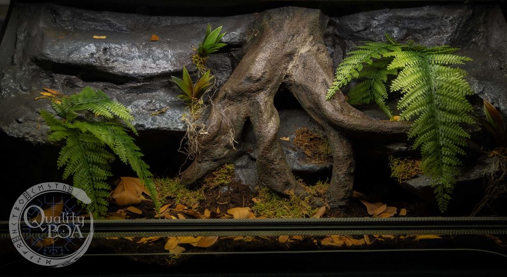 Terrarium dla gekona lamparciego/ węża 80x40x40