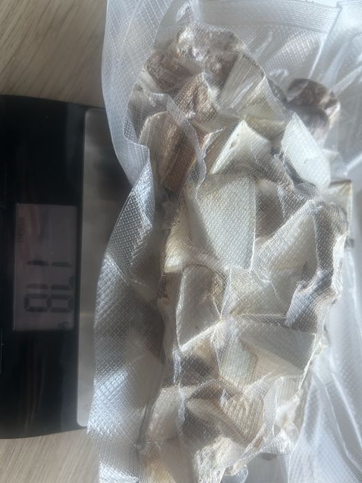 Białoporek brzozowy suszony 160g