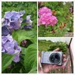 Aparat cyfrowy Samsung WB600