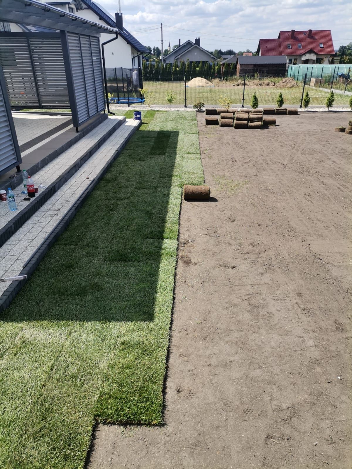 Trawnik trawa z rolki od producenta z dostawą zakladanie trawnika