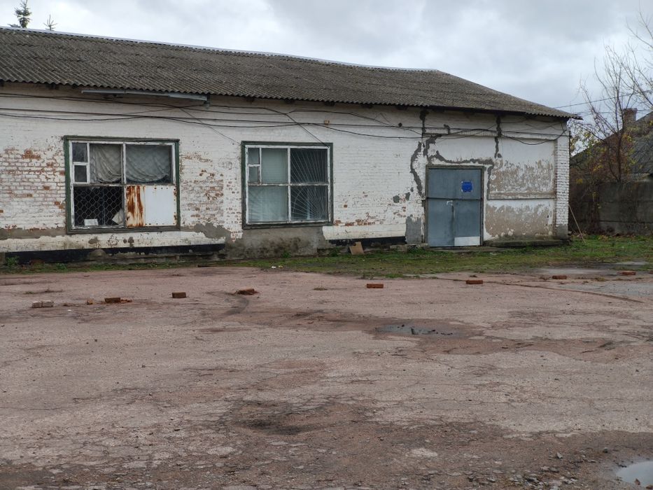 Здам в оренду.Дешево.