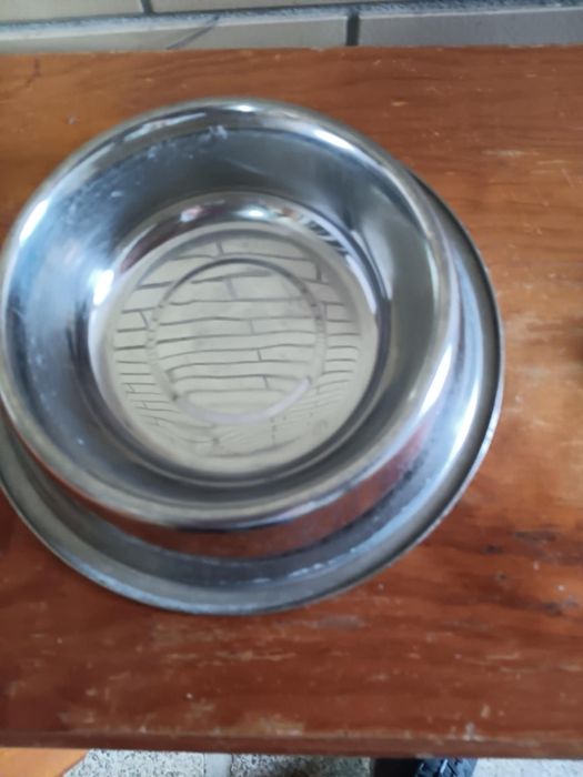 Acessorios de animal