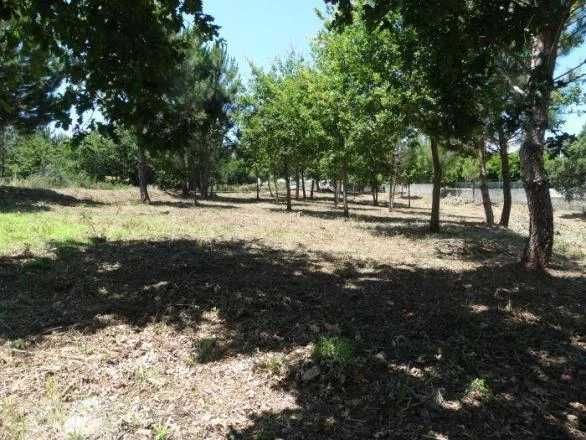 Terreno em Carvalhal Redondo com 1679m²