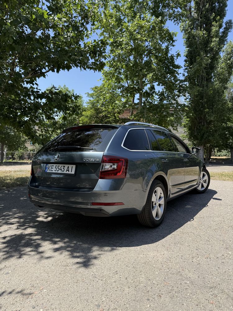 Skoda Octavia 1.6d (сдам в аренду)