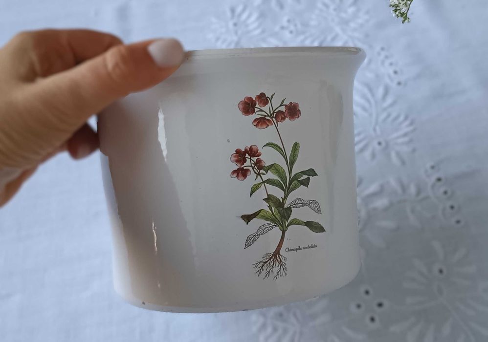 Ceramiczna doniczka 17 cm, temat: botanika, zioła