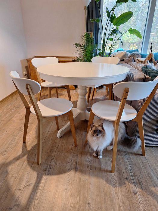 Stół + Krzesła 4szt. komplet