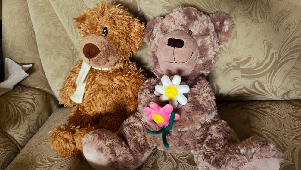 Мишки плюшевые мягкие игрушки медвежата Тедди