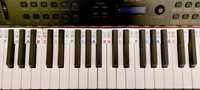 Silikonowe nakładki na pianino/keyboard (dźwięki, nuty, kolory)