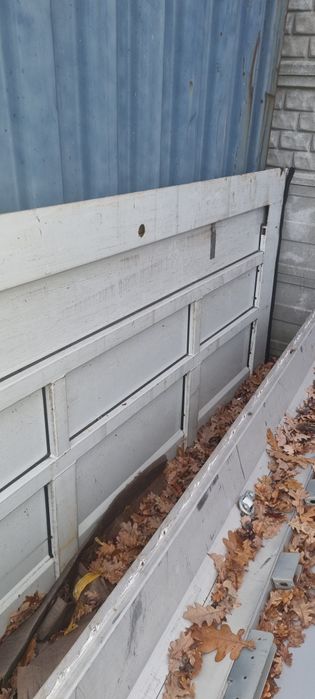 Drzwi krone 2017r mega