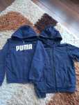 Bluza 4f 146, puma 152