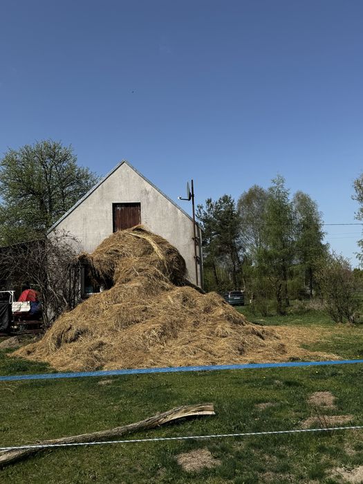 Oddam stare siano ze słomą