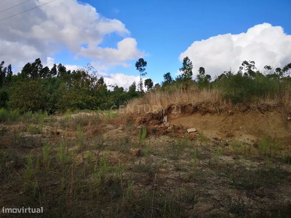 Terreno com Viabilidade de Construção em Croca, Penafiel